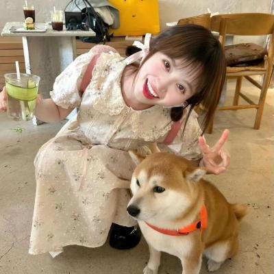 鲨鱼的儿子